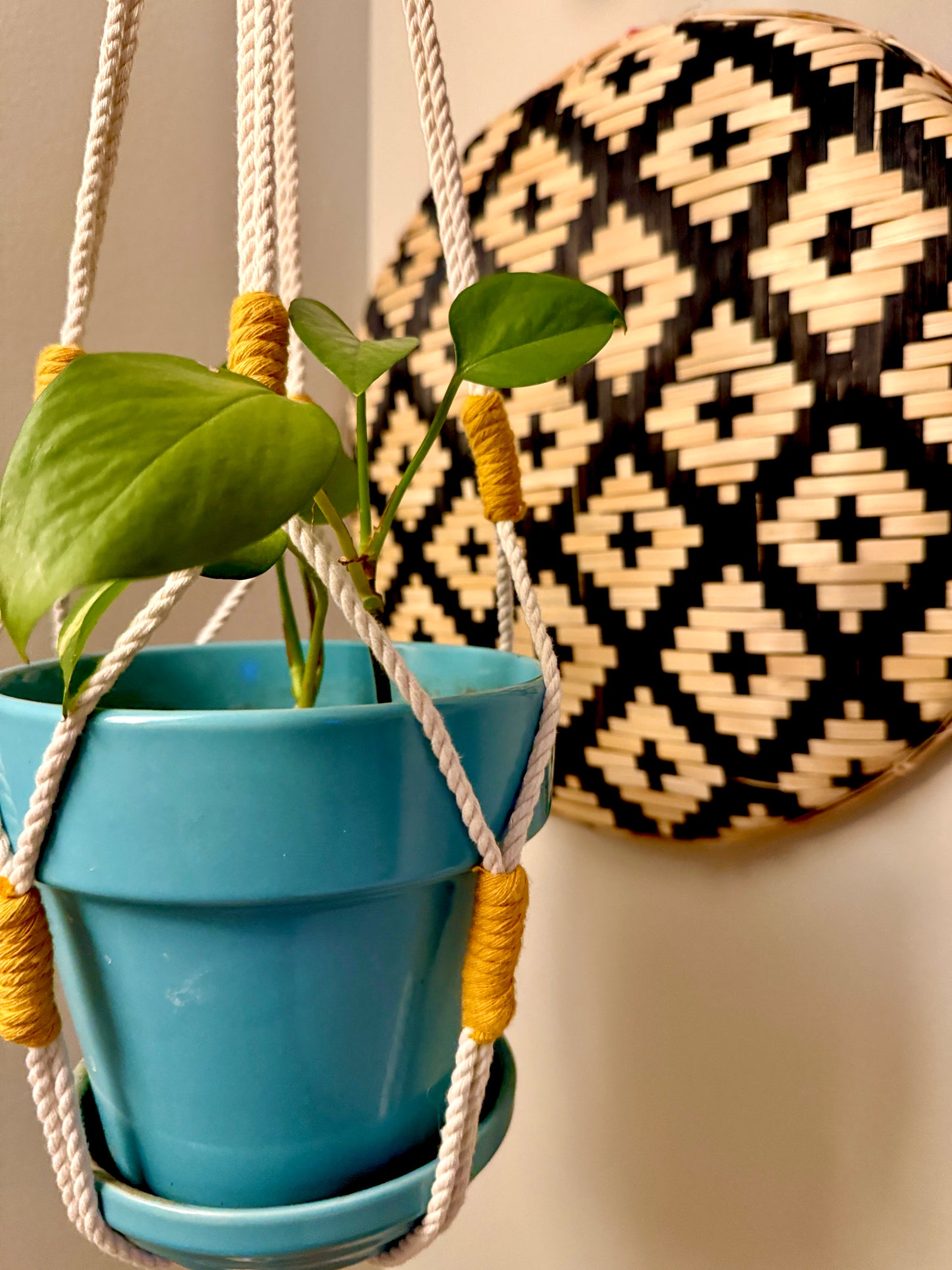 Macrame Plant Hanger